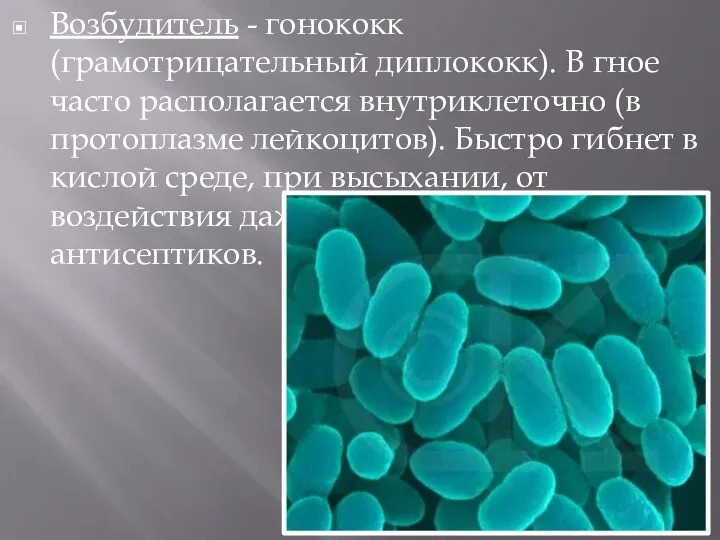 Возбудитель - гонококк (грамотрицательный диплококк). В гное часто располагается внутриклеточно (в протоплазме