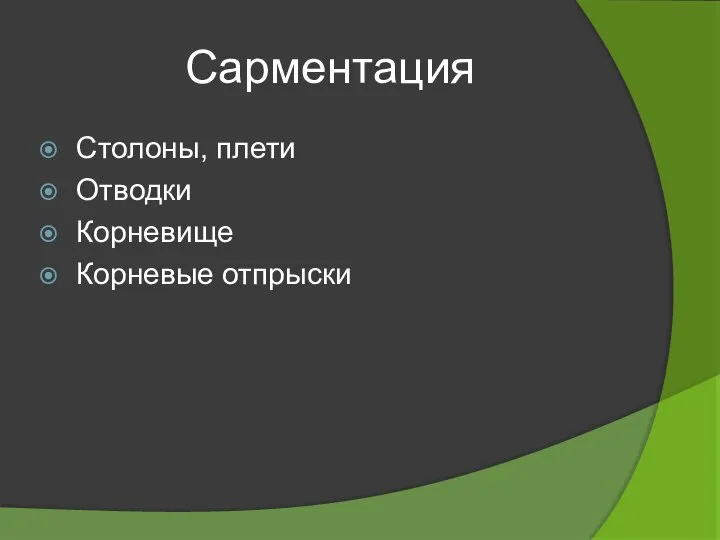 Сарментация Столоны, плети Отводки Корневище Корневые отпрыски