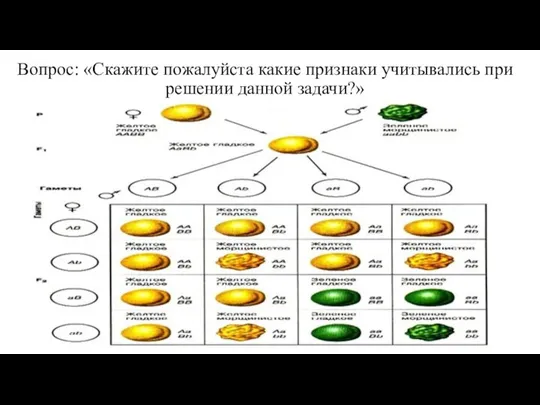 Вопрос: «Скажите пожалуйста какие признаки учитывались при решении данной задачи?»