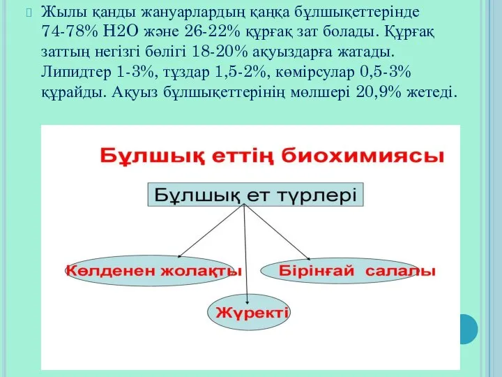 Жылы қанды жануарлардың қаңқа бұлшықеттерінде 74-78% H2O және 26-22% құрғақ зат болады.