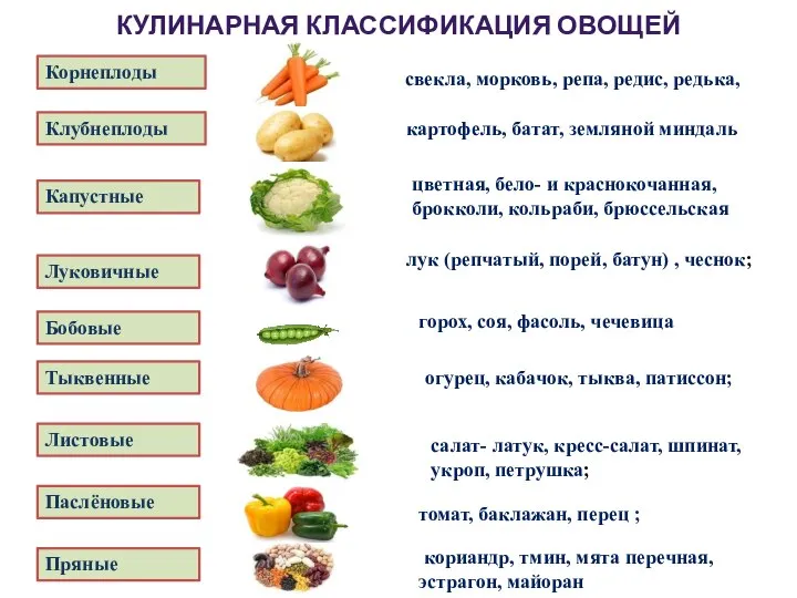 КУЛИНАРНАЯ КЛАССИФИКАЦИЯ ОВОЩЕЙ Корнеплоды свекла, морковь, репа, редис, редька, Клубнеплоды Капустные Луковичные