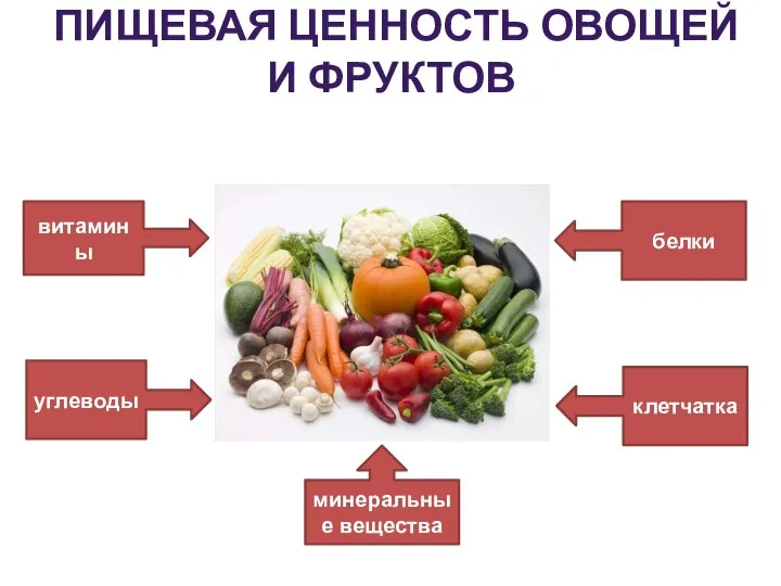 ПИЩЕВАЯ ЦЕННОСТЬ ОВОЩЕЙ И ФРУКТОВ минеральные вещества клетчатка углеводы белки витамины