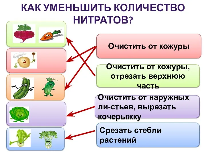 КАК УМЕНЬШИТЬ КОЛИЧЕСТВО НИТРАТОВ? Срезать стебли растений Очистить от кожуры, отрезать верхнюю