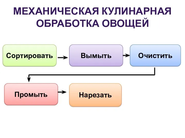 МЕХАНИЧЕСКАЯ КУЛИНАРНАЯ ОБРАБОТКА ОВОЩЕЙ Сортировать Очистить Вымыть Нарезать Промыть