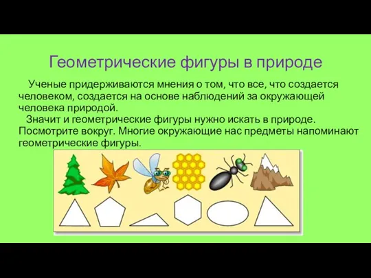 Геометрические фигуры в природе Ученые придерживаются мнения о том, что все, что