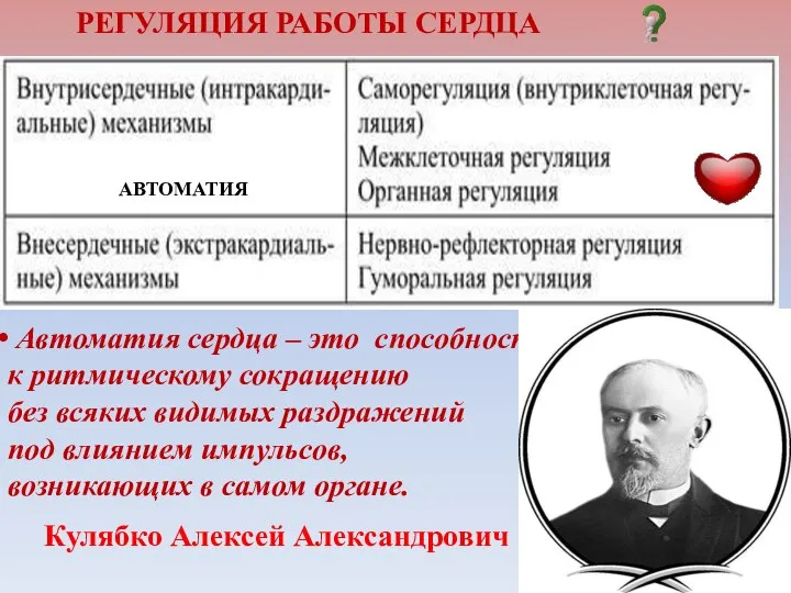 РЕГУЛЯЦИЯ РАБОТЫ СЕРДЦА АВТОМАТИЯ Автоматия сердца – это способность сердца к ритмическому