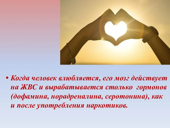 Когда человек влюбляется, его мозг действует на ЖВС и вырабатывается столько гормонов