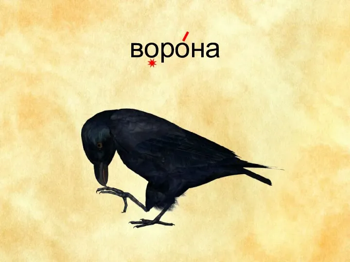 ворона ✷