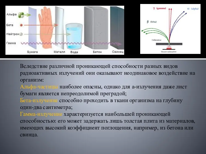 Вследствие различной проникающей способности разных видов радиоактивных излучений они оказывают неодинаковое воздействие