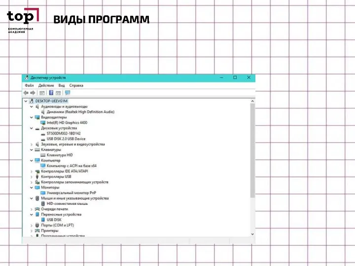 ВИДЫ ПРОГРАММ