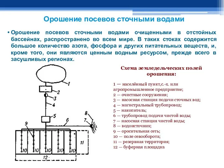 Орошение посевов сточными водами очищенными в отстойных бассейнах, распространено во всем мире.