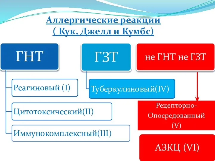 Аллергические реакции ( Кук, Джелл и Кумбс) АЗКЦ (VI)