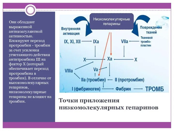 Точки приложения низкомолекулярных гепаринов Они обладают выраженной антикоагулянтной активностью. Блокируют переход протромбин