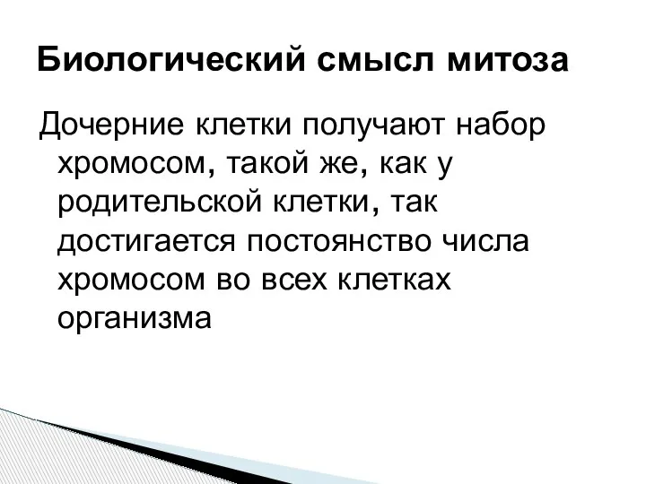 Дочерние клетки получают набор хромосом, такой же, как у родительской клетки, так