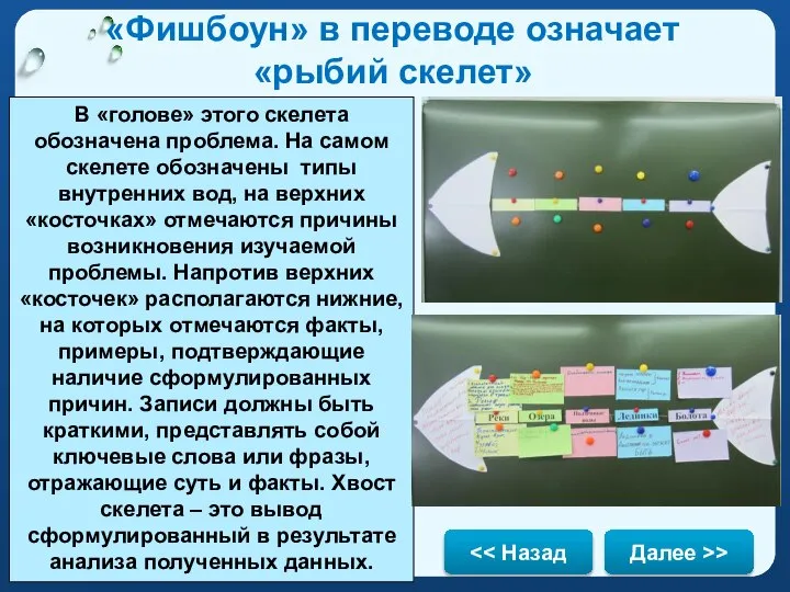 «Фишбоун» в переводе означает «рыбий скелет» В «голове» этого скелета обозначена проблема.