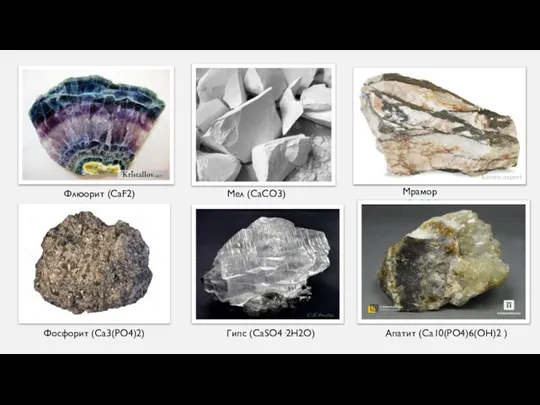 Флюорит (CaF2) Мел (CaCO3) Мрамор (CaCO3) Фосфорит (Ca3(PO4)2) Гипс (CaSO4·2H2O) Апатит (Ca10(PO4)6(OH)2 )