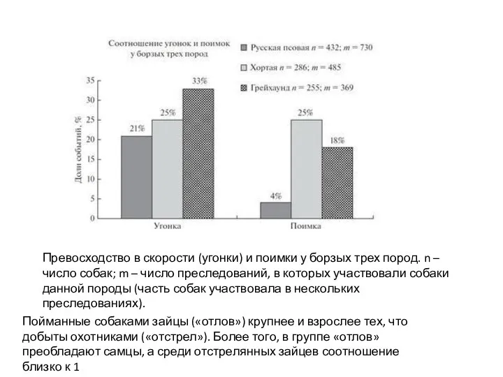 Превосходство в скорости (угонки) и поимки у борзых трех пород. n –