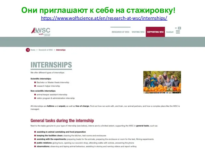 Они приглашают к себе на стажировку! https://www.wolfscience.at/en/research-at-wsc/internships/