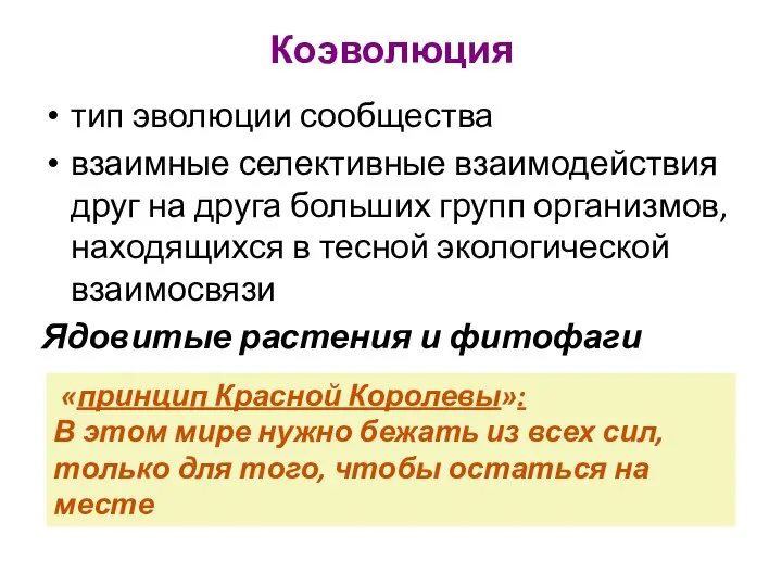 Коэволюция тип эволюции сообщества взаимные селективные взаимодействия друг на друга больших групп