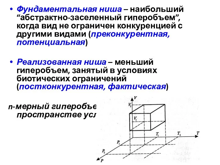 Фундаментальная ниша – наибольший “абстрактно-заселенный гиперобъем”, когда вид не ограничен конкуренцией с