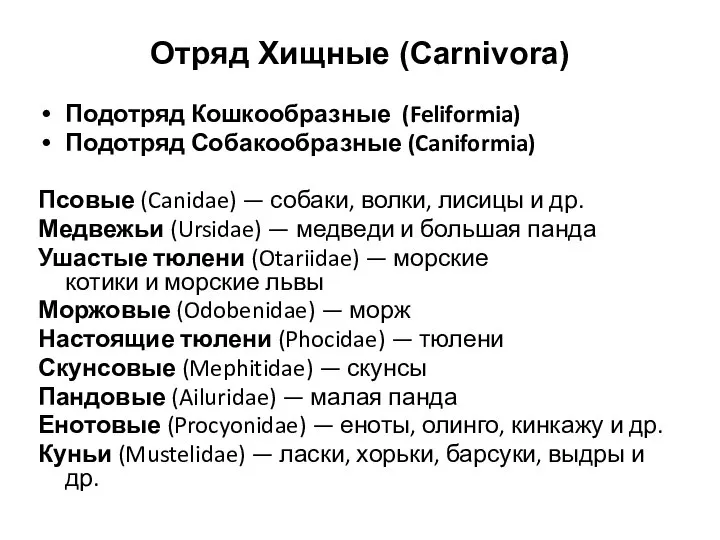 Отряд Хищные (Carnivora) Подотряд Кошкообразные (Feliformia) Подотряд Собакообразные (Caniformia) Псовые (Canidae) —