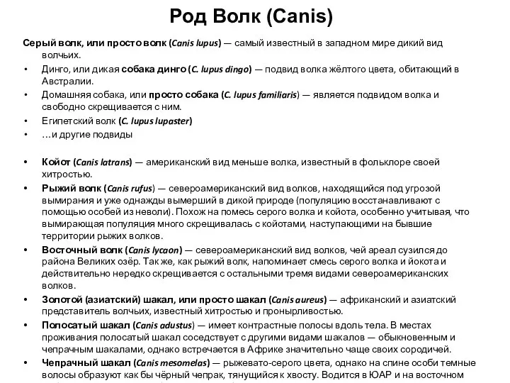 Род Волк (Canis) Серый волк, или просто волк (Canis lupus) — самый