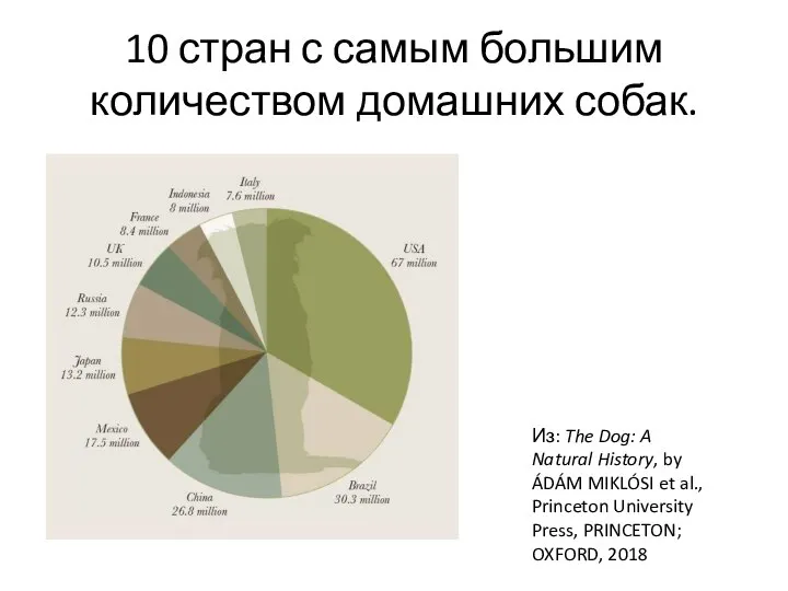 10 стран с самым большим количеством домашних собак. Из: The Dog: A