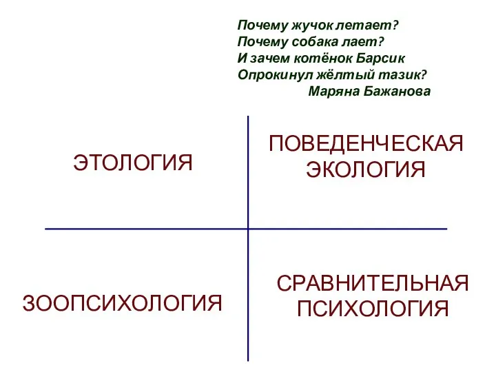 Почему жучок летает? Почему собака лает? И зачем котёнок Барсик Опрокинул жёлтый тазик? Маряна Бажанова