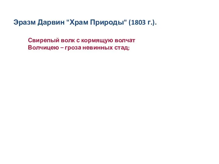 Свирепый волк с кормящую волчат Волчицею – гроза невинных стад; Эразм Дарвин "Храм Природы" (1803 г.).