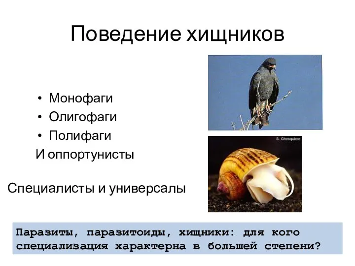 Поведение хищников Монофаги Олигофаги Полифаги И оппортунисты Паразиты, паразитоиды, хищники: для кого