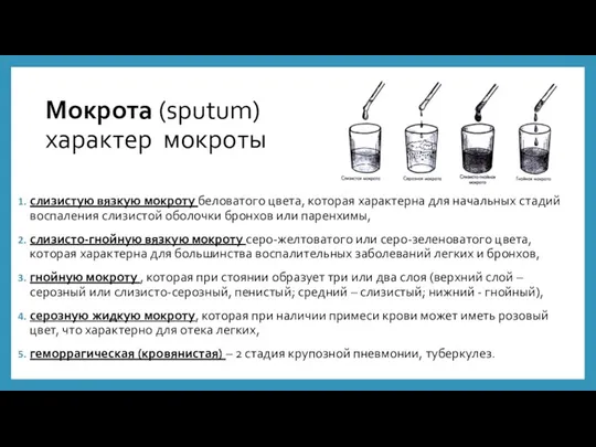 Мокрота (sputum) характер мокроты слизистую вязкую мокроту беловатого цвета, которая характерна для