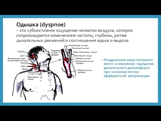 Одышка (dyspnoe) – это субъективное ощущение нехватки воздуха, которое сопровождается изменением частоты,