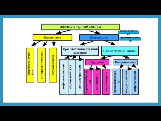 ФОРМЫ ГРУДНОЙ КЛЕТКИ Правильная Неправильная При патологии органов дыхания При патологии костей
