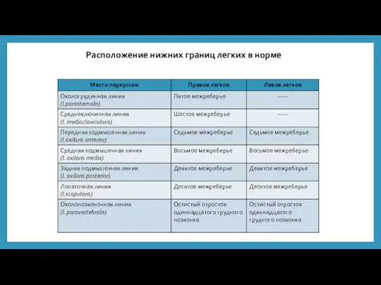 Расположение нижних границ легких в норме