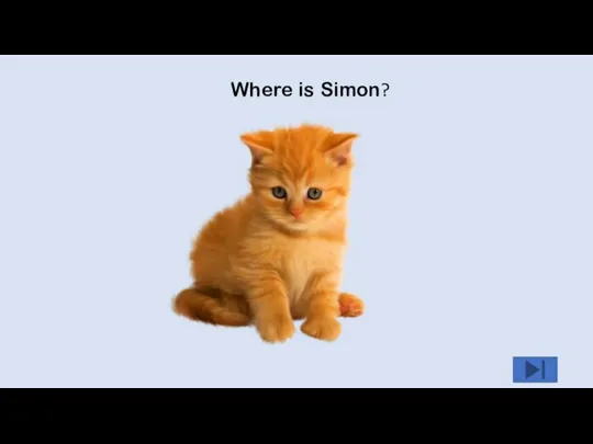Where is Simon?