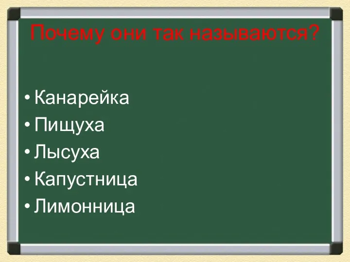 Почему они так называются? Канарейка Пищуха Лысуха Капустница Лимонница