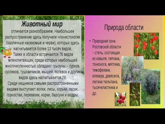 Природные ресурсы Ростовской области