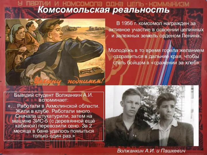 Комсомольская реальность В 1956 г. комсомол награжден за активное участие в освоении