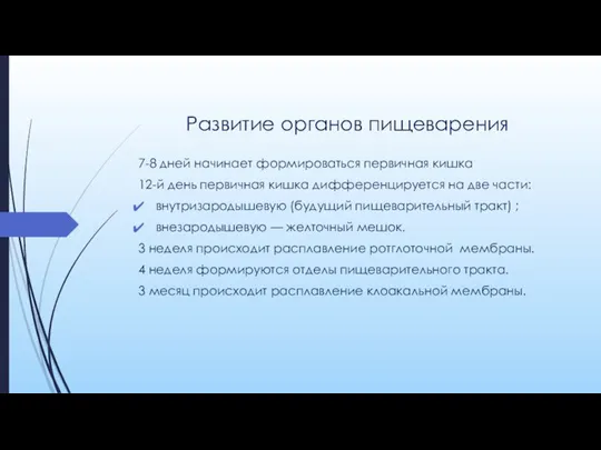 Развитие органов пищеварения 7-8 дней начинает формироваться первичная кишка 12-й день первичная