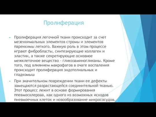 Пролиферация Пролиферация легочной ткани происходит за счет мезенхимальных элементов стромы и элементов