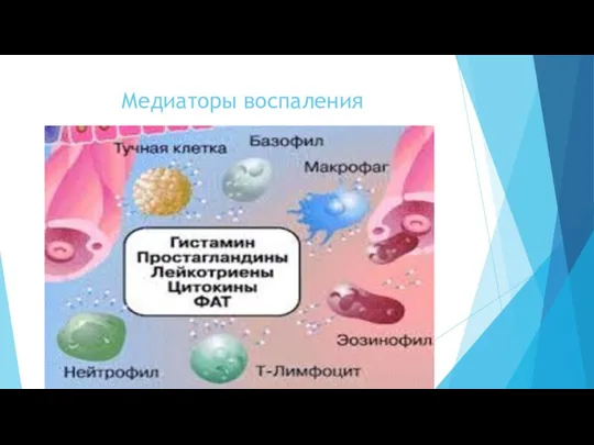 Медиаторы воспаления