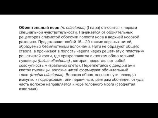 Обонятельный нерв (n. olfactorius) (I пара) относится к нервам специальной чувствительности. Начинается