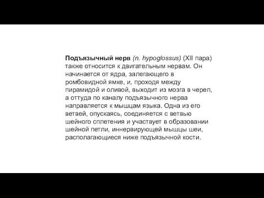 Подъязычный нерв (n. hypoglossus) (XII пара) также относится к двигательным нервам. Он