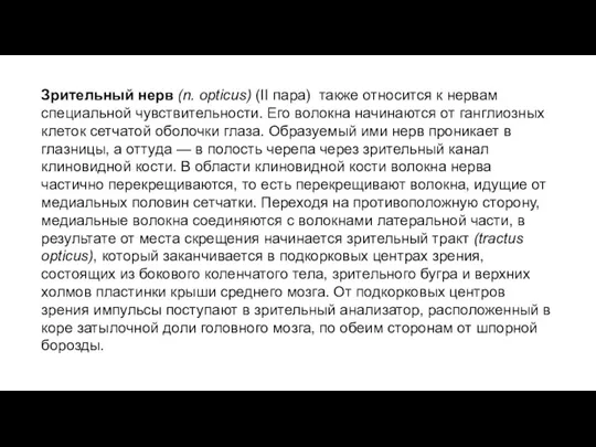 Зрительный нерв (n. opticus) (II пара) также относится к нервам специальной чувствительности.