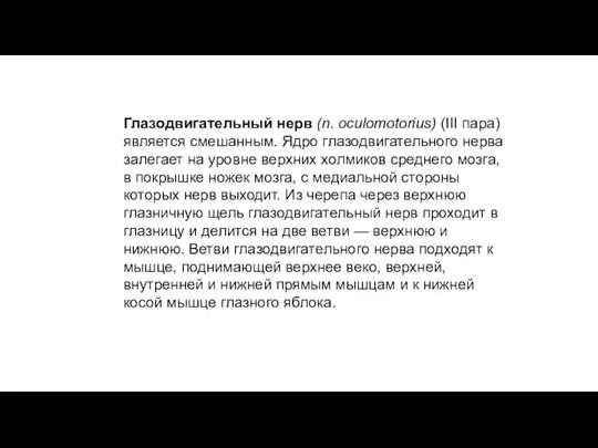 Глазодвигательный нерв (n. oculomotorius) (III пара) является смешанным. Ядро глазодвигательного нерва залегает