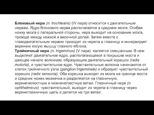 Блоковый нерв (n. trochlearis) (IV пара) относится к двигательным нервам. Ядро блокового