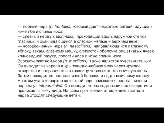 — лобный нерв (n. frontalis), который дает несколько ветвей, идущих к коже