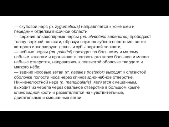 — скуловой нерв (n. zygomaticus) направляется к коже шеи и передним отделам