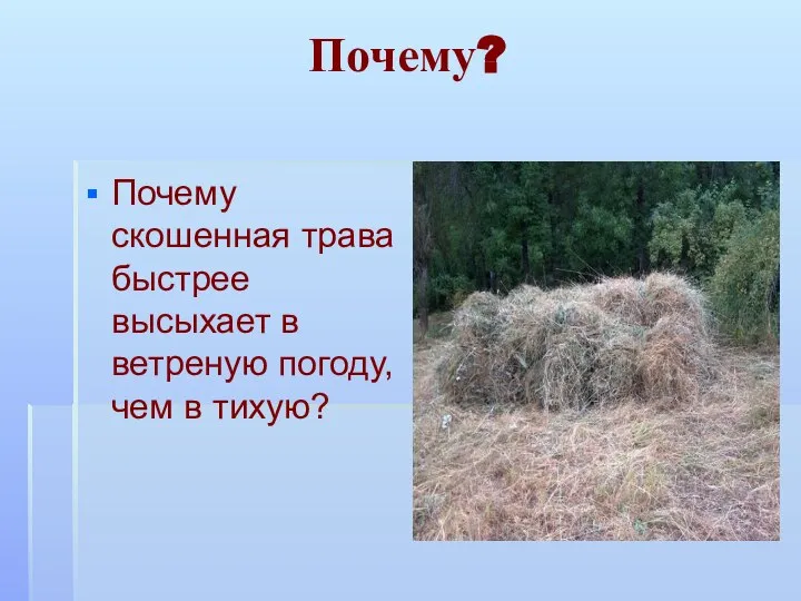 Почему? Почему скошенная трава быстрее высыхает в ветреную погоду, чем в тихую?