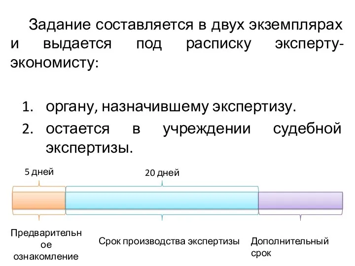 Задание составляется в двух экземплярах и выдается под расписку эксперту-экономисту: органу, назначившему